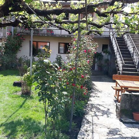 Apartment Dejan ツェティニェ エクステリア 写真