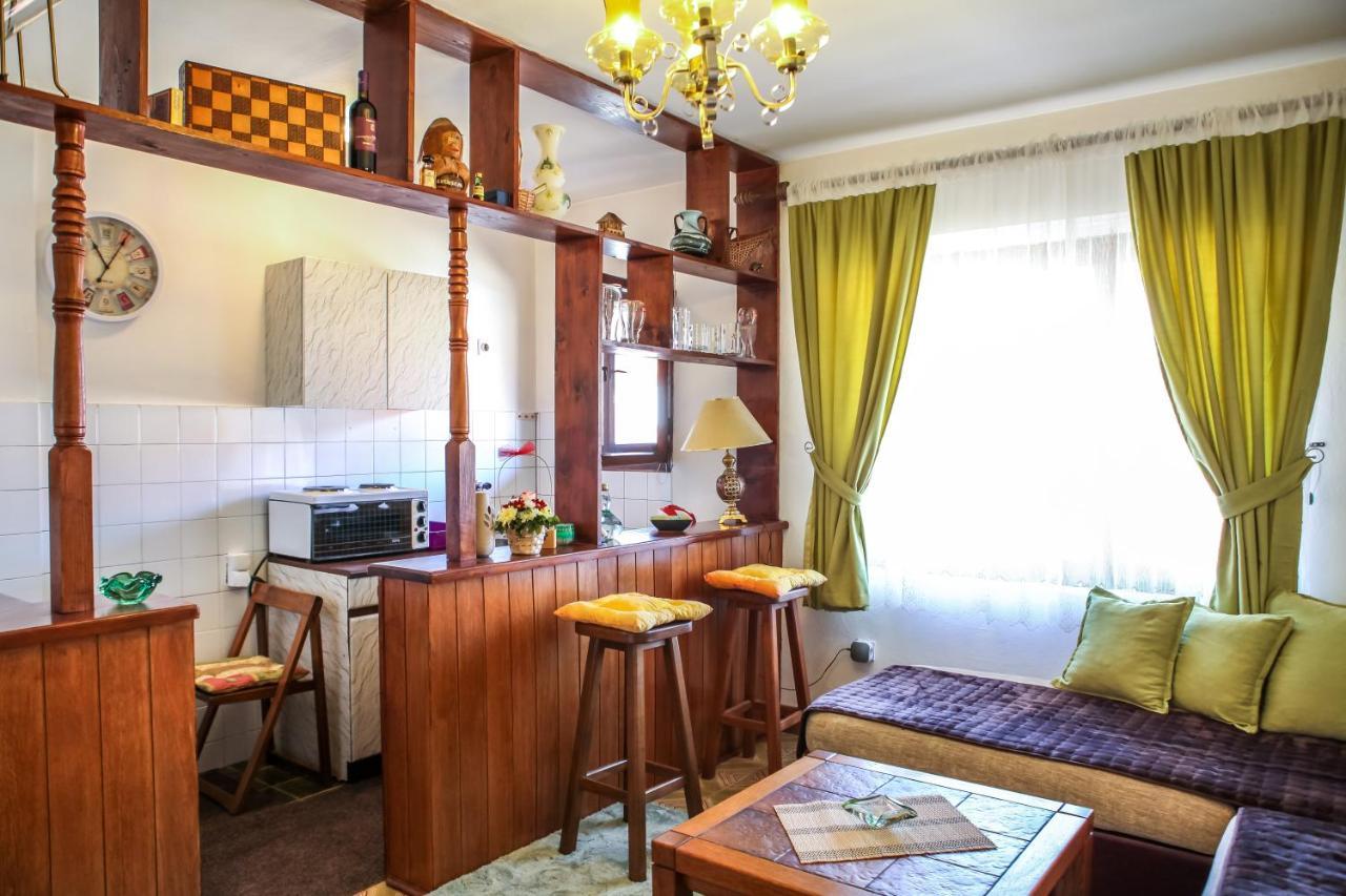 Apartment Dejan ツェティニェ エクステリア 写真