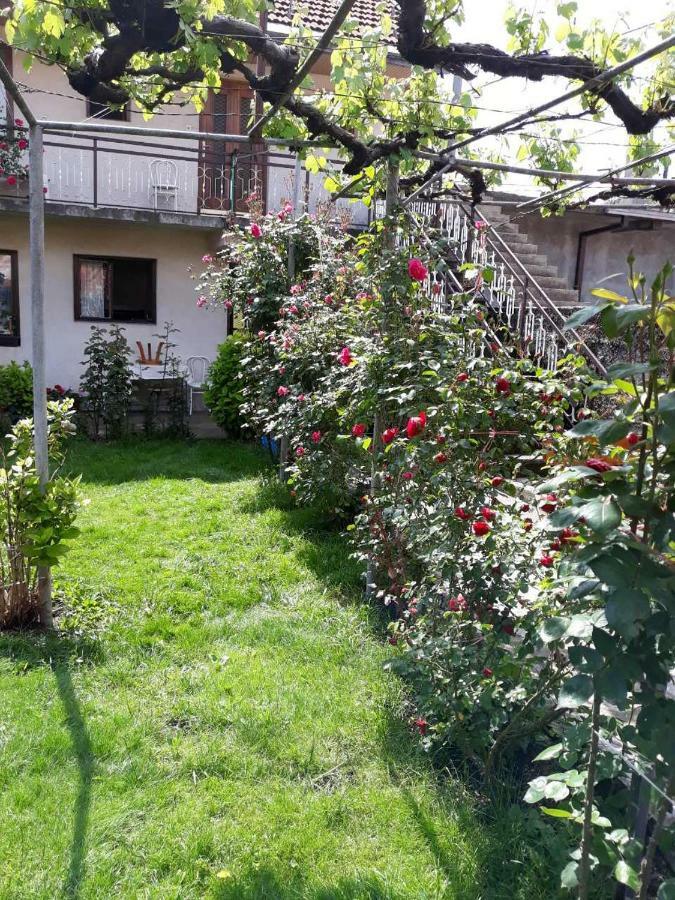 Apartment Dejan ツェティニェ エクステリア 写真